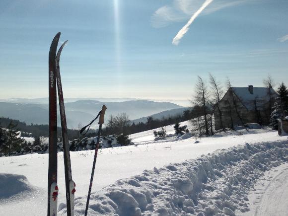 Apartmany Forest Kovářská Exteriör bild