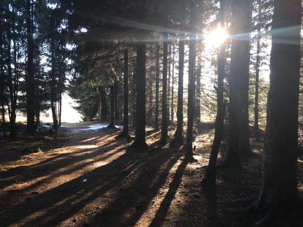 Apartmany Forest Kovářská Exteriör bild
